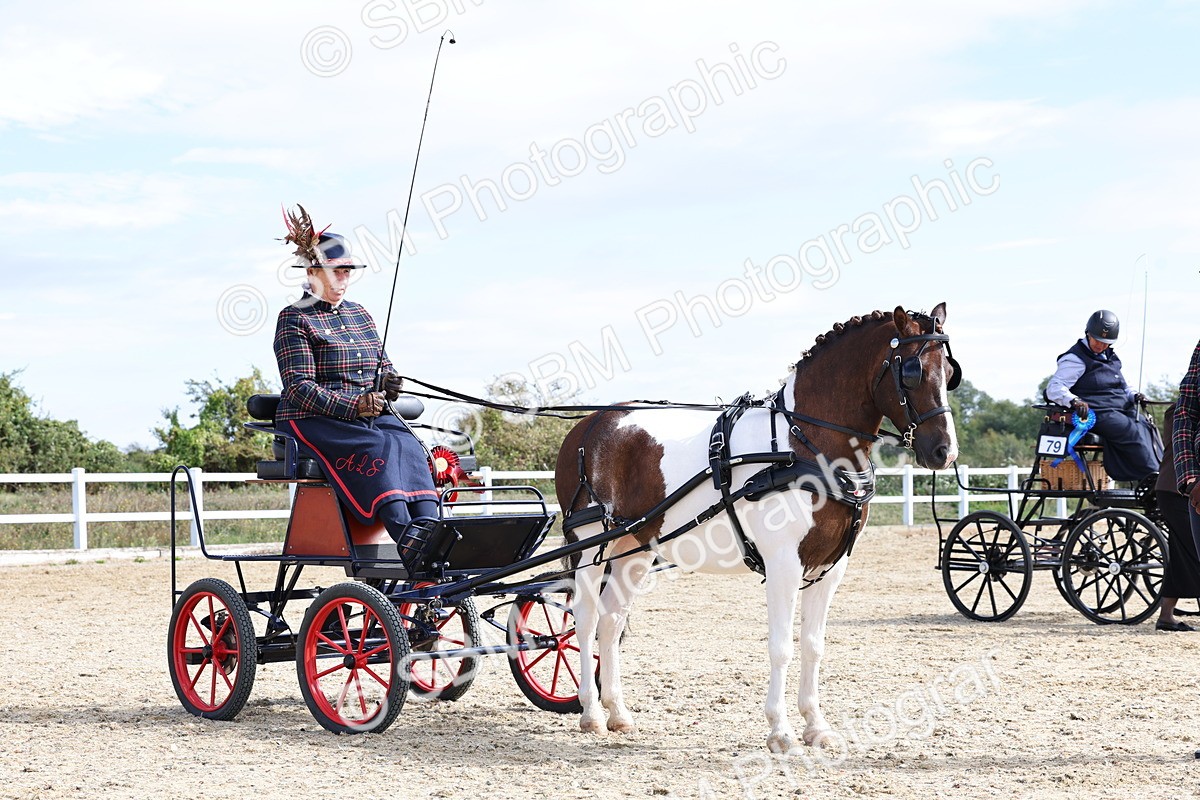 SBM_000940 - Class 8 - Novice Horse or Pony to any vehicle