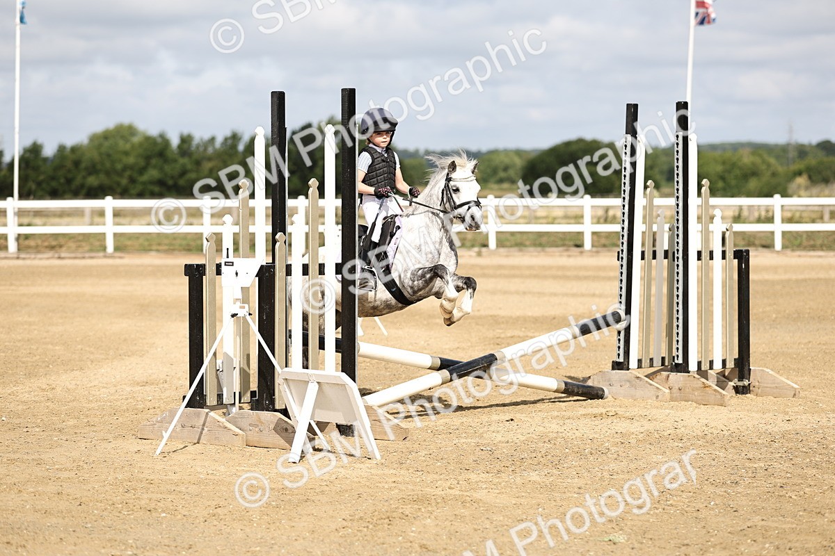 SBM_003480 - 50cm showjumping