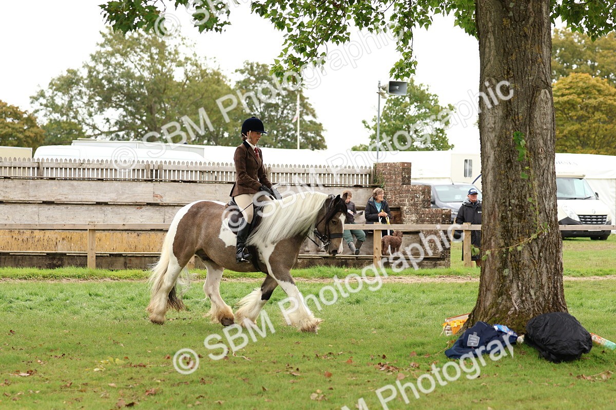 SBM_64494 - S58 - Coloured Pony Ridden