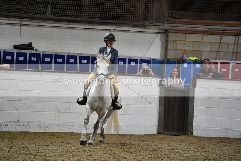 WJ5_7915 - Class 13 Ridden Part Breed