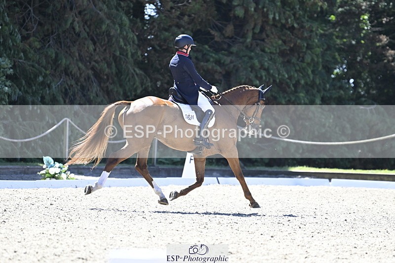 250522A-110558-03002 - B-315-Tom.McEwen-SHANNONDALE.ARNOLD