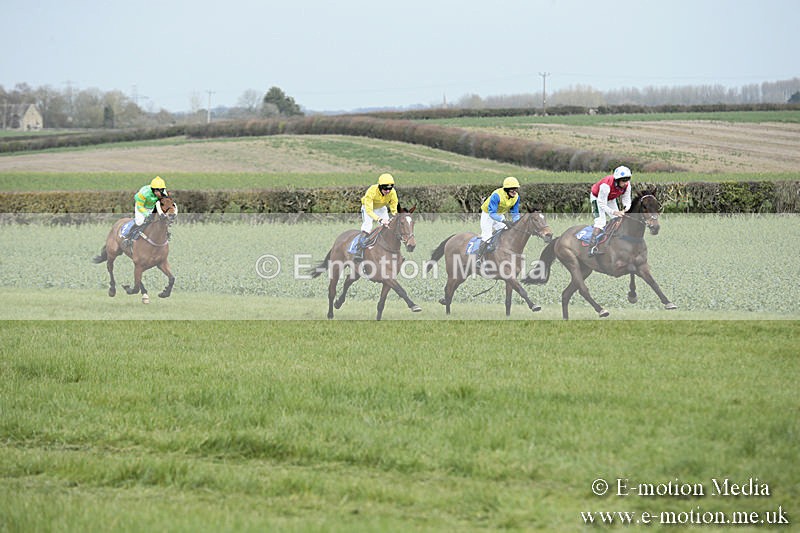 PtP 230319 32 - VWH Hunt Siddington Point-to-Point Racing 23/03/19