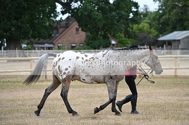 WJ6_7816 - Class 10 Coloured in Hand