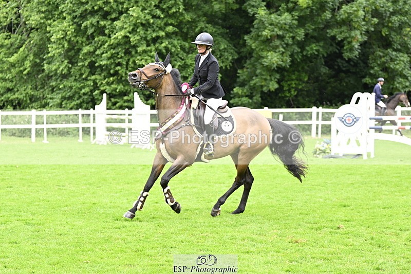 250613A-135855-02439 - Cls 3 Snr Foxhunter