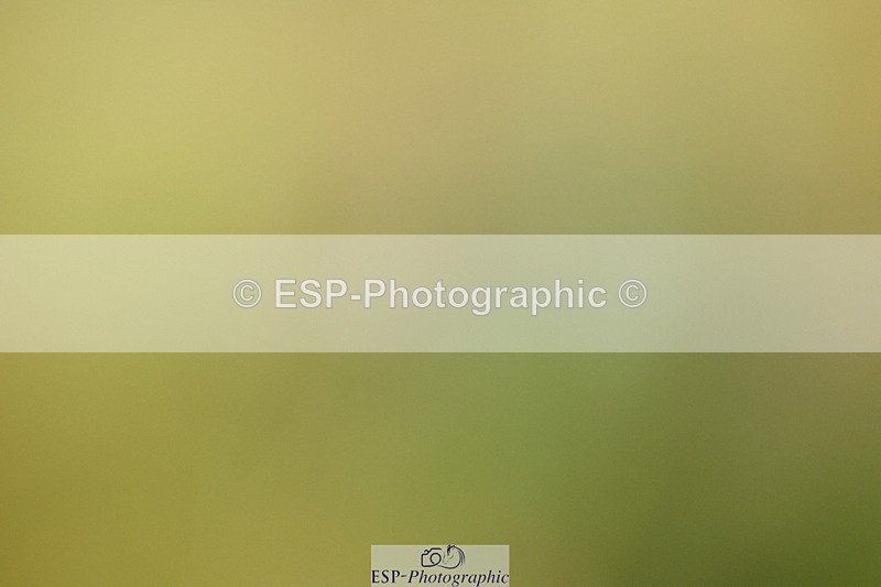 240824X-084515-21859 - D70 Section C and D 8.30 to 9.30