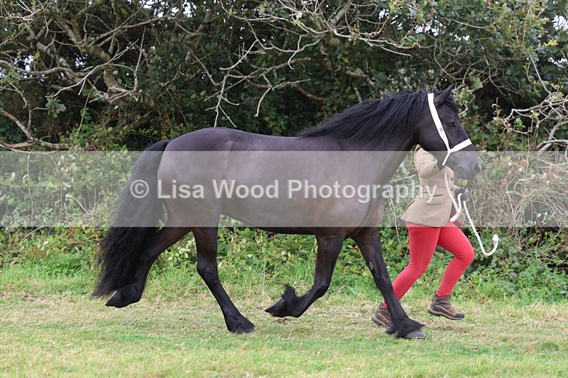 3E7A4559 - Class 16: Best Grass Kept