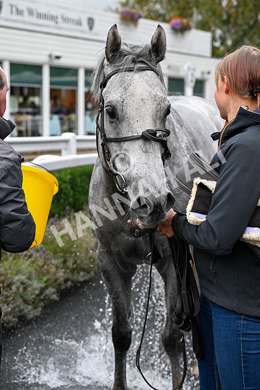 011025-Race 6-Mudamer-0653 - Race 6