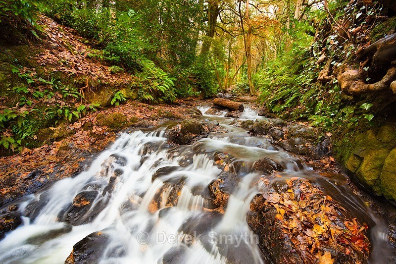 Drumleck River In Autumn