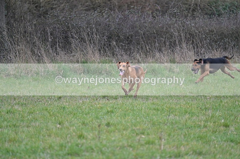WJ7_7918 - A Camera