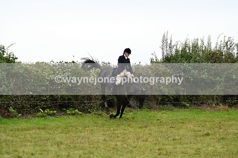 WJ7_4227 - Camera 1 Line 2