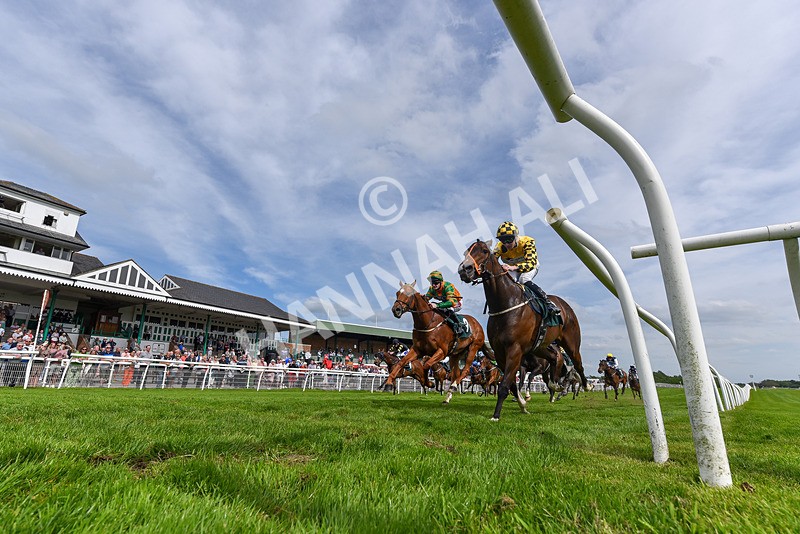 130524-Race 5-Sherdil-5414 - Race 5