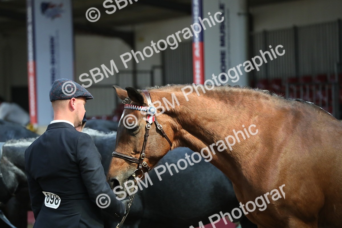 SBM_04451 - Class 7R Regional - IH Diamond