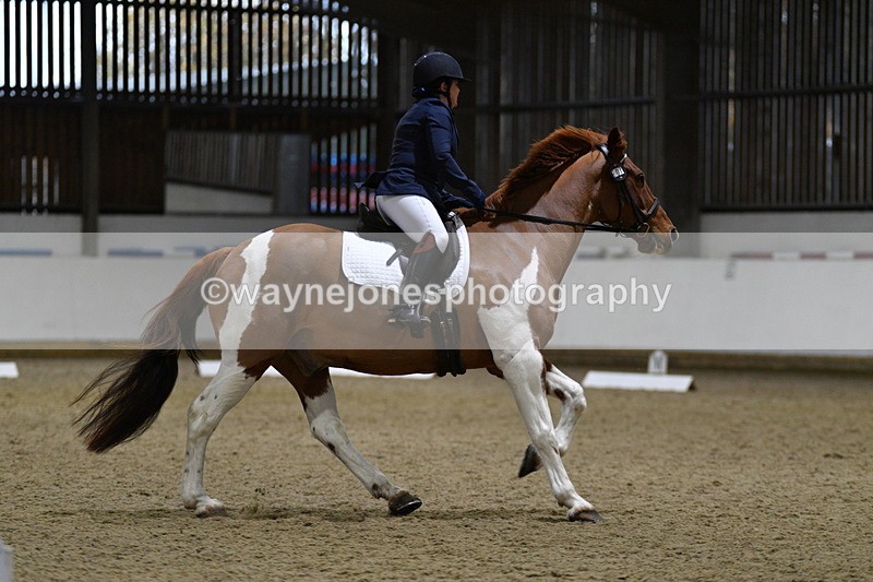 WJ5_8403 - Class 4 Prelim Test 2