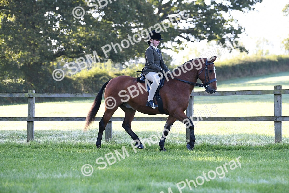 SBM_33958 - S16 - Condition & Turnout - Ridden