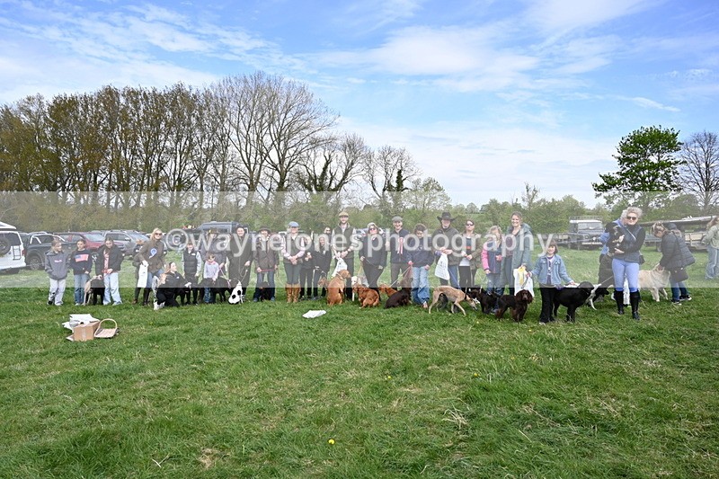 WJ6_9180 - Class 8 Best Working / Gun Dog or Bitch