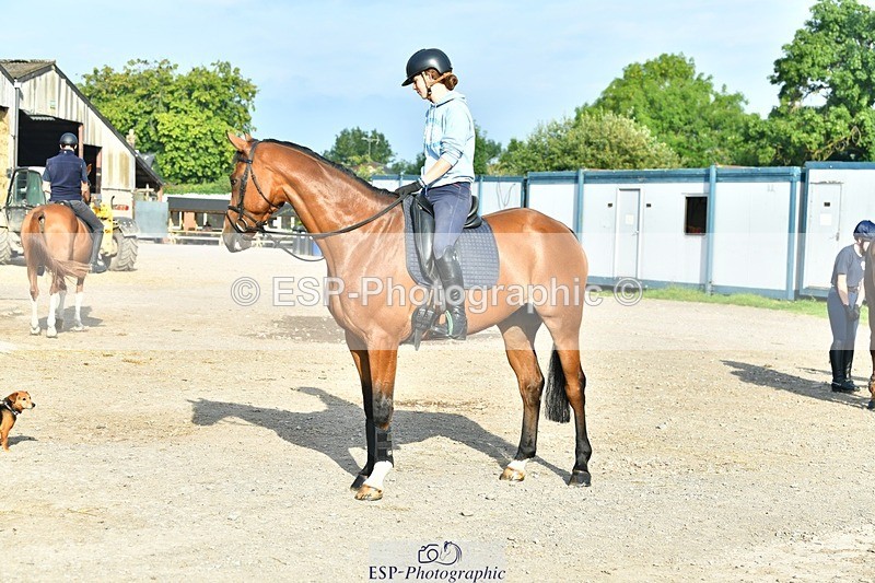 230817-083951-02441 - Stable Shots