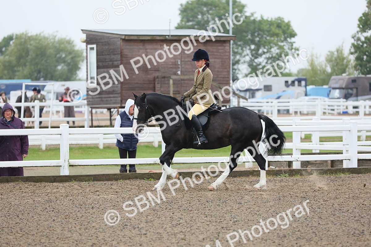 SBM_19939 - Class 801 - Ridden Veteran