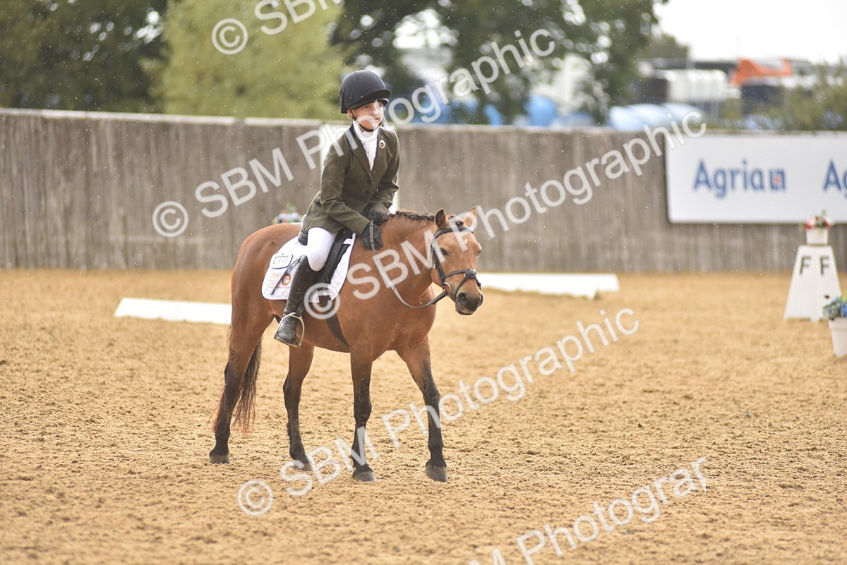 SBM_42405 - D22 - Junior Championship Intro 3
