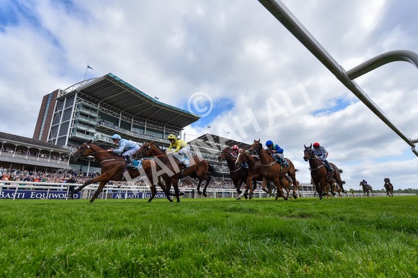 150525-Old Cock-2336 - Race 2 2.42pm Oakmere Homes Hambleton Handicap