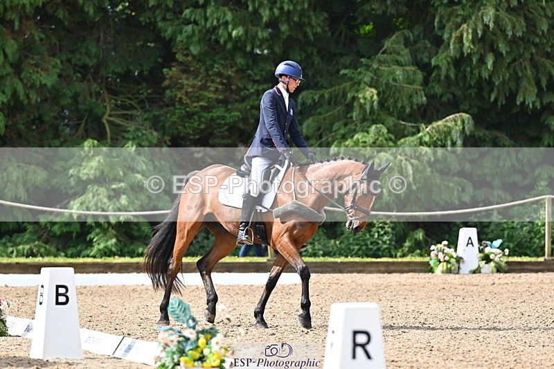 250523A-094241-05323 - C-258-Bill.Levett-ITALIAN.HARLEQUIN.NJ