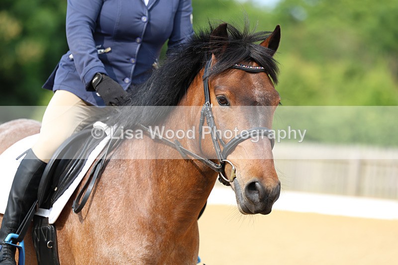 3E7A8625 - Class 1: Intro 1 2024 Section A