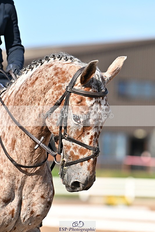 240816A-165803-06309 - 164-Emma.jane.Brown-JUBILEE.HARVEST