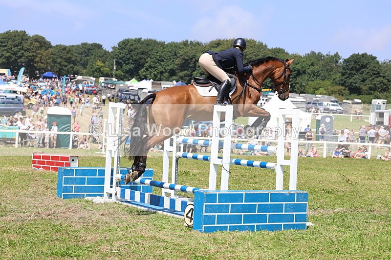 3E7A3335 - Class 10: Senior Foxhunter/1.20 open