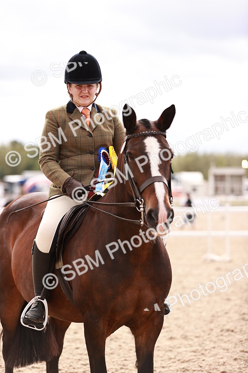 SBM_18268 - Class 416 - Prettiest Mare (IH or Ridden)Jnr