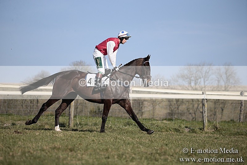PtP 240218 206 - Vine & Craven Hunt Point-to-Point Barbury racecourse 24/02/18