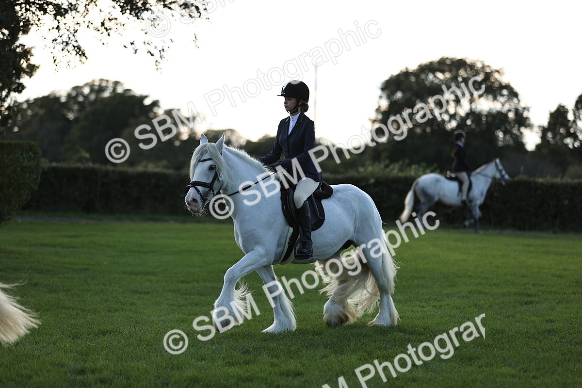 SBM_29553 - S7 - Novice & Newcomers Ridden Pony