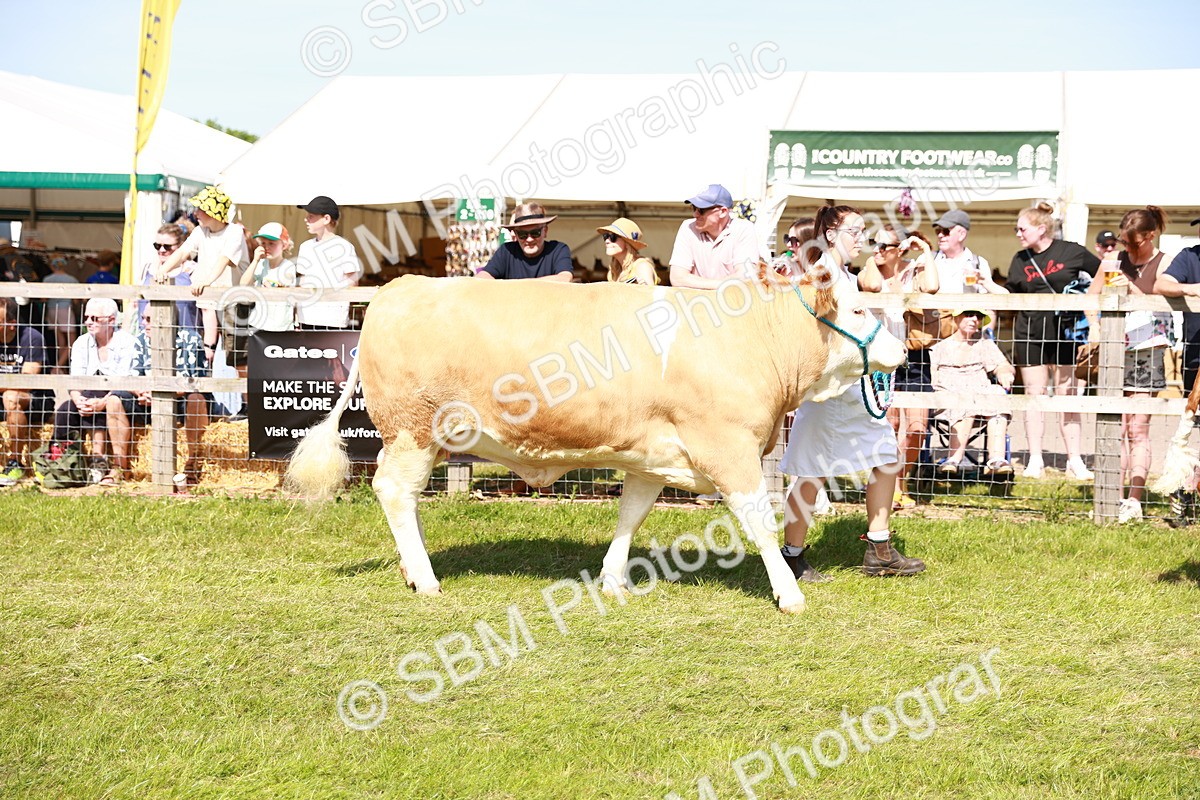 SBM_08359 - Grand Parade
