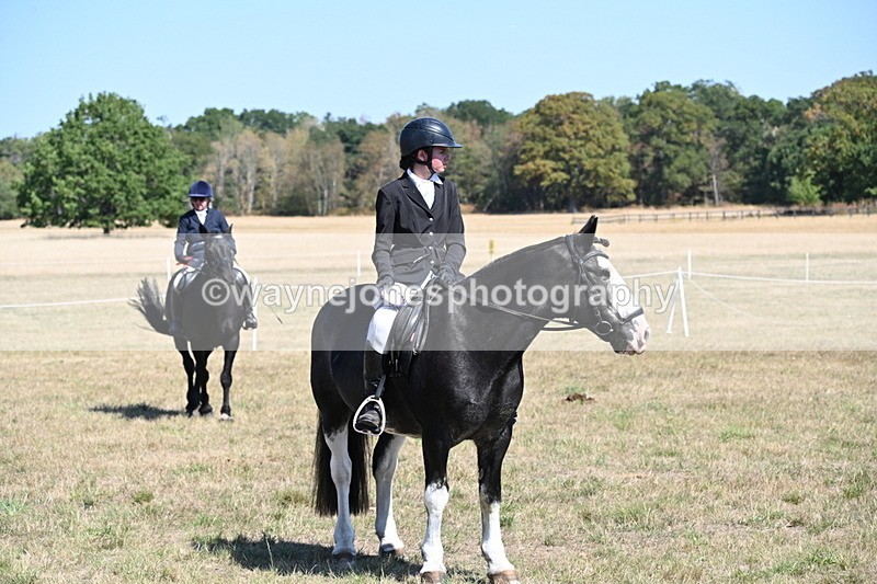 WJ6_8503 - Class 37a Best Loan Pony Ridden