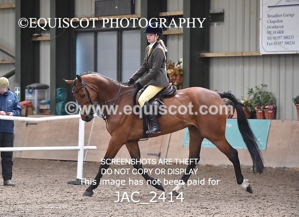 JAC_2414 - CLASS 3 Intermediate Working Hunter