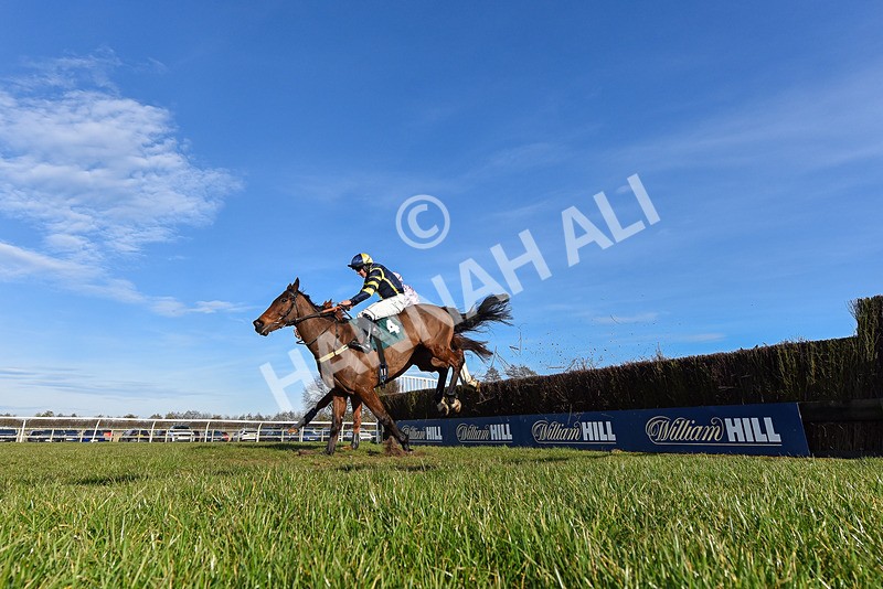 050325-Race 3-Ensel Du Perche-0938 - Race 3