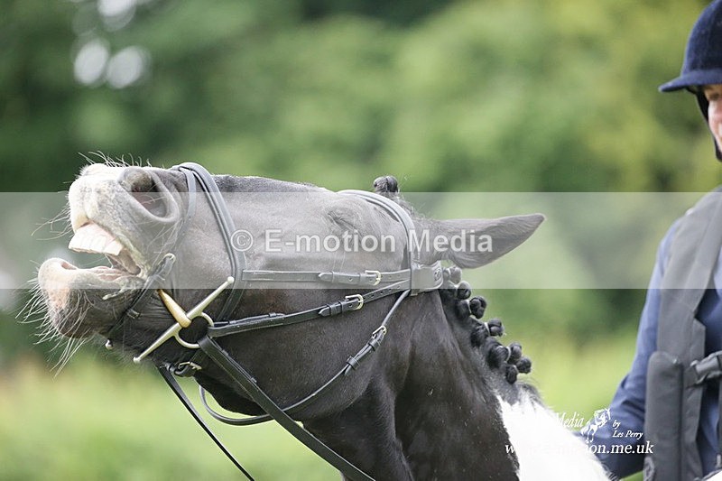 BVRC 030721 818 - Bourne Valley Riding Club Dressage 03/07/21