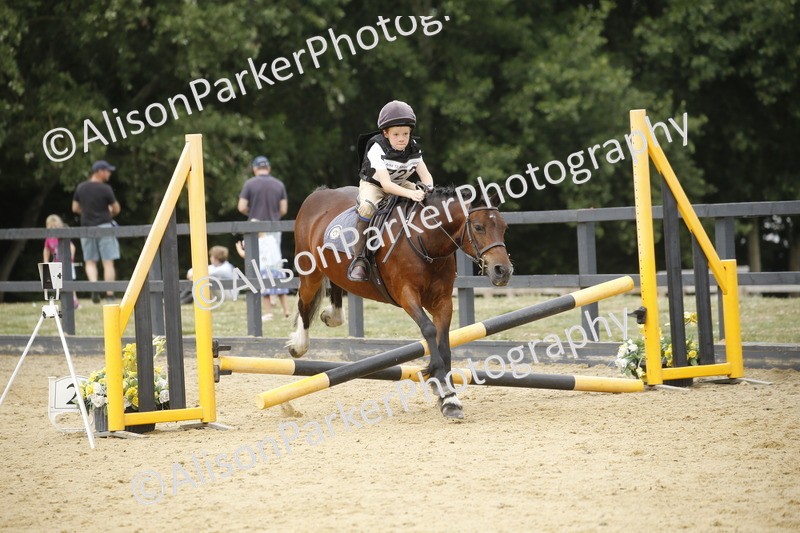 20250622-5994 - 60cm