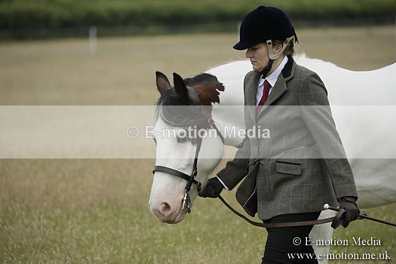 B230619-0036 - Bourne Valley Riding Club Summer Show 23/06/19