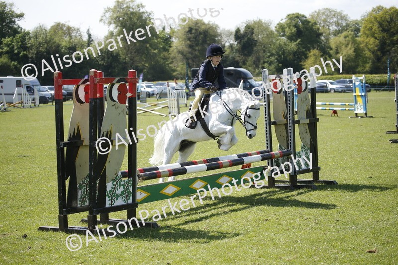 20250427-2307 - Class 13 - Novice Jumping 60cm
