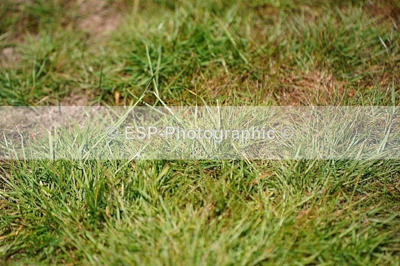 240630X-125530-8410 - 339-Abigail_Williams-MORNING_FINALE