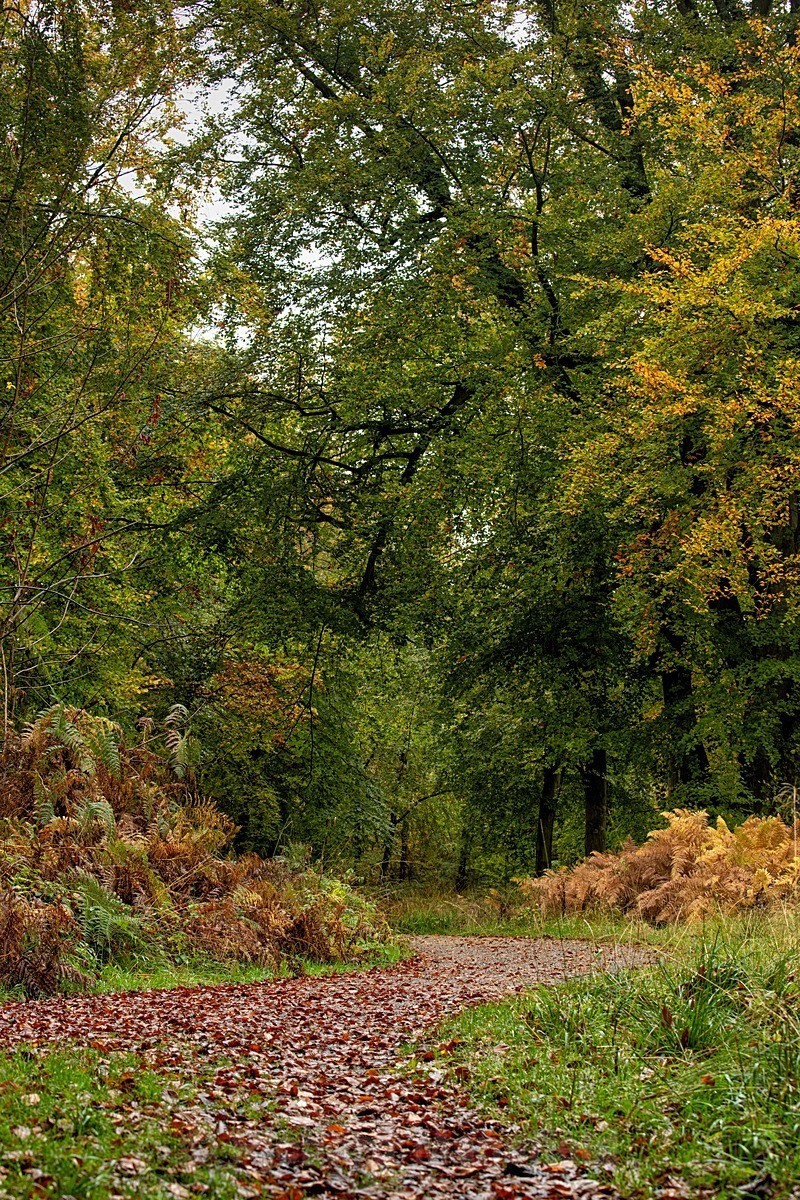  - Autumn