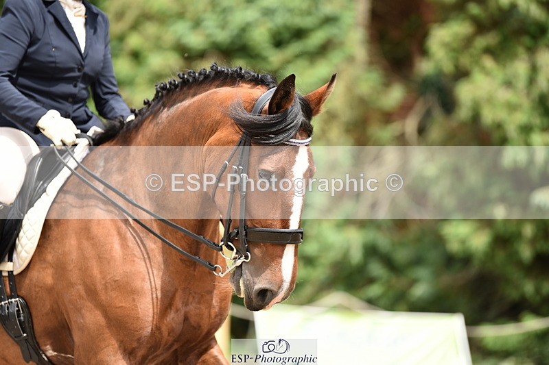 140110A-030110-11127 - 018-Jane.Lavington-Broadriver.Madison