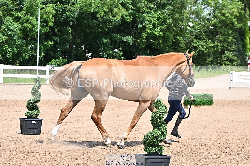 240718A-105315-01752 - Trot Up 1pm to 2pm