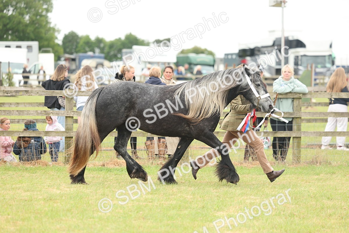 SBM_05058 - Class 50-57 - M&M Welsh Pony In Hand