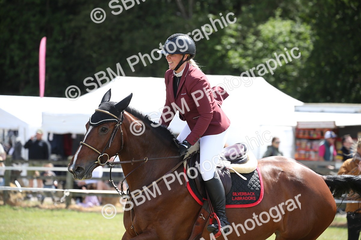 SBM_17399 - Class 208 - Senior Foxhunter 1.20m Open