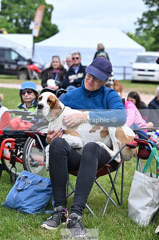 250525A-104538-15777 - Western Counties Crowds