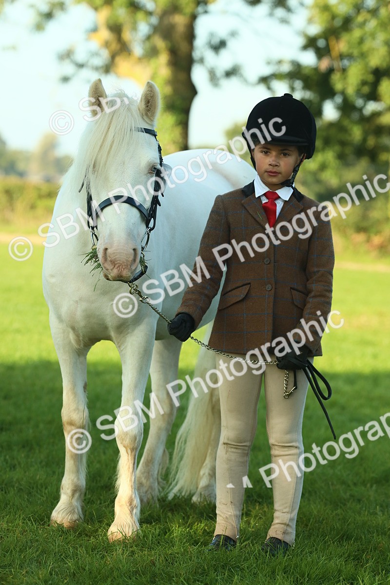 SBM_57506 - S37 - Starters In Hand Showing