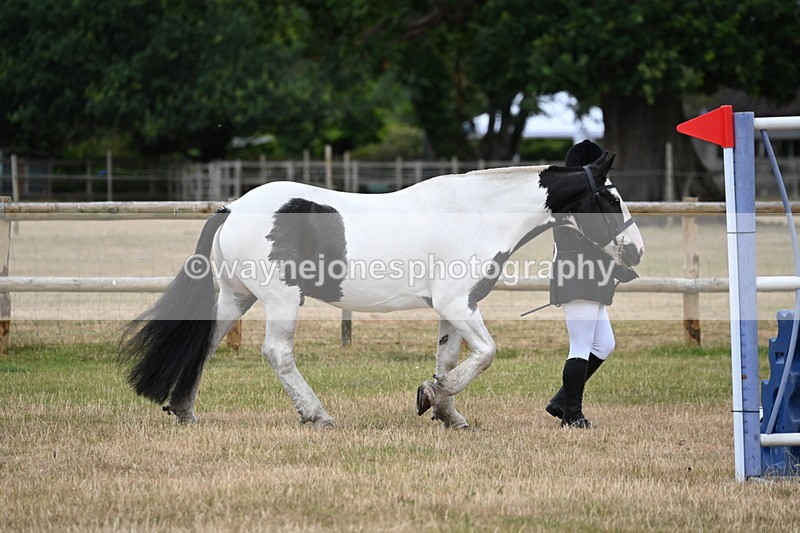 WJ6_4165 - Class 10 Coloured In-hand