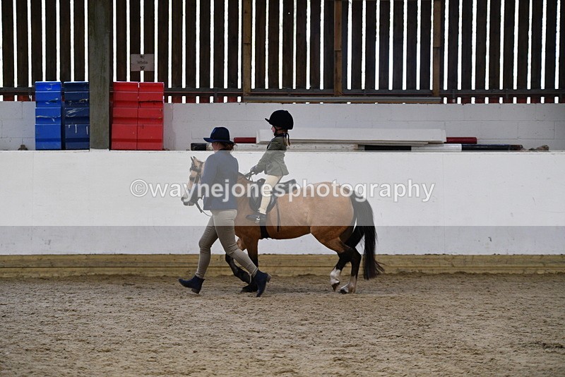 WJ5_6742 - Class 10 Childs Pony