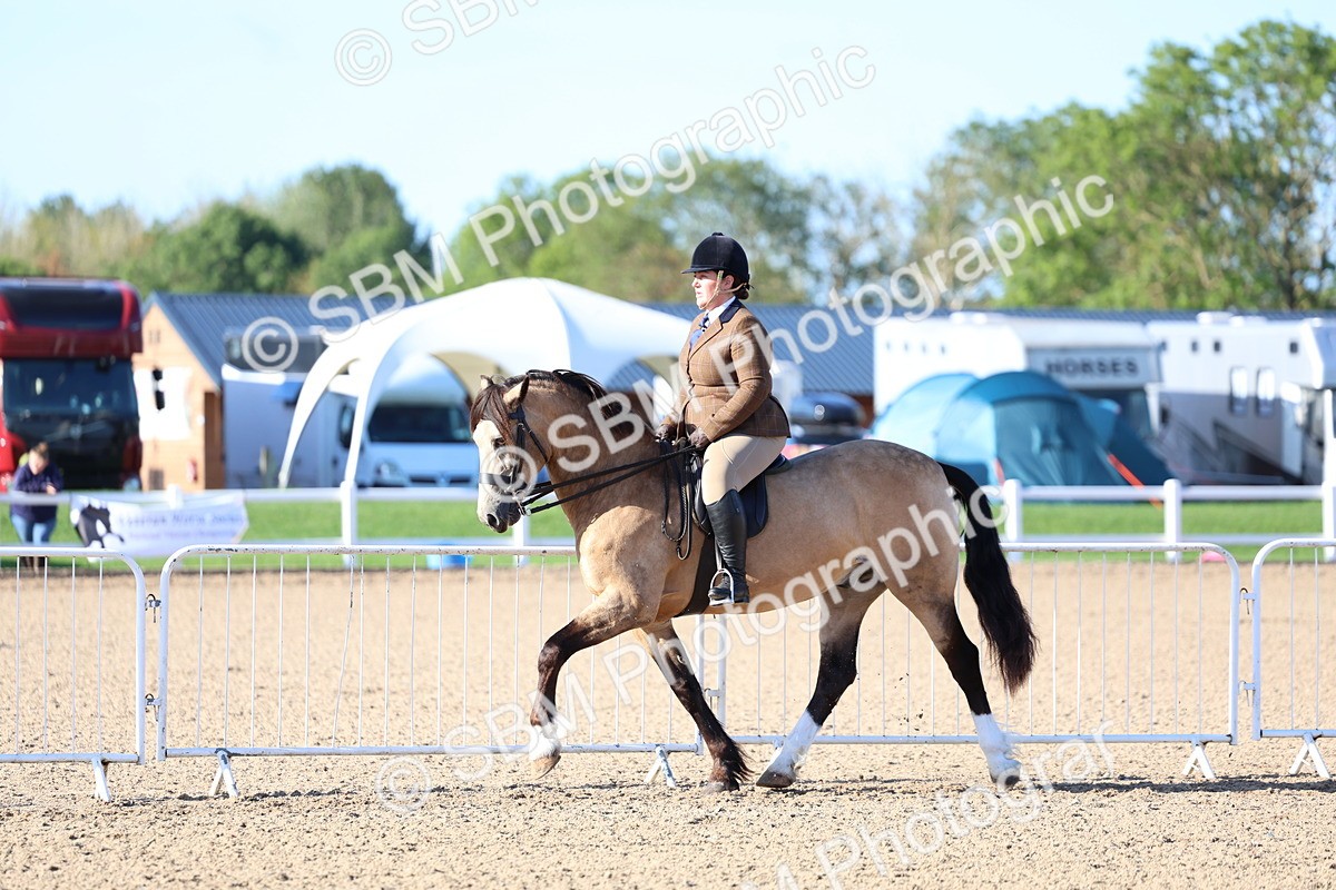SBM_08787 - Class 302 - Ridden M&M - Large Breeds