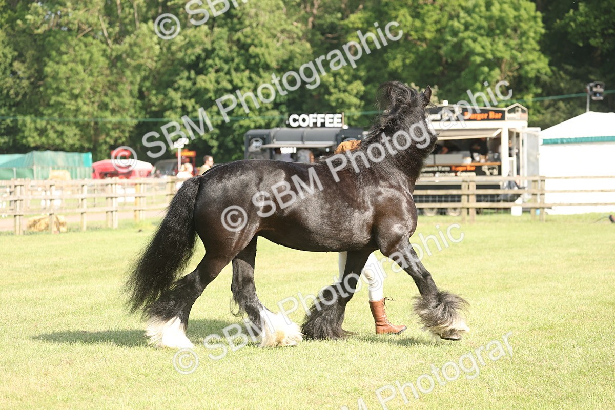 SBM_10336 - Class 33-38 - SSADL RIHS Qualifiers